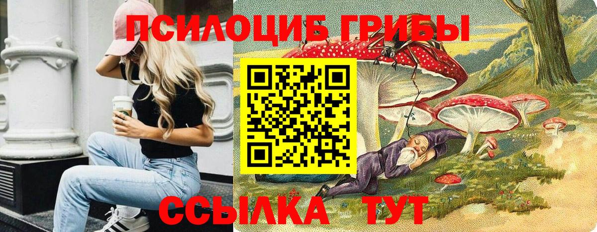 Псилоцибиновые грибы прущие грибы Волжский