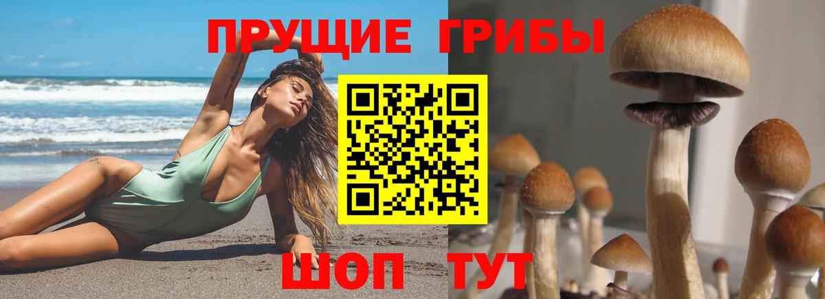 Волжский  Галлюциногенные грибы мицелий  Вход с VPN 